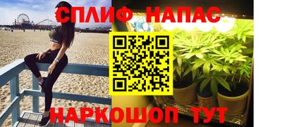 прущий лед Тара
