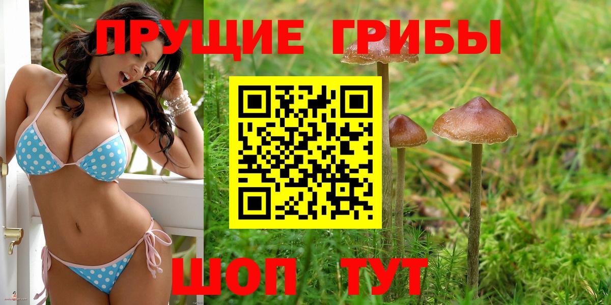 Псилоцибиновые грибы Magic Shrooms  Вход с VPN  Псилоцибиновые грибы Magic Shrooms  Мурино 